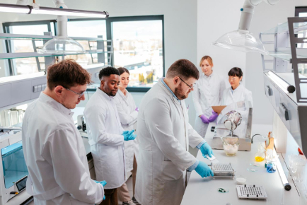 API Process Development & Scale-Up Training